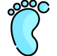 footprint